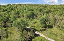 000 Hwy 56, Bells, TX 75414
