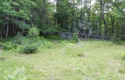 Bingham Mills Rd, Stafford, NY 13470