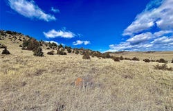 Shining Mountains Unit I lot: 230, Ennis, MT 59729