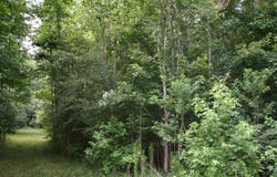 0 Kitfield Road, Moncks Corner, SC 29461