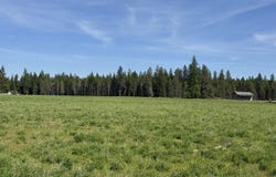 29210 N Spotted Rd, Deer Park, WA 99006