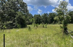 454 Calhoun Road, Swansea, SC 29160