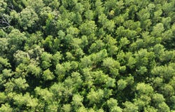 1971 CR 266, Lanett, AL 36863