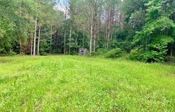 0 Pine Grove Road, Carrollton, AL 35447