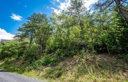 Lots 8, 9, and 10 STAR TANNERY ROAD, STAR TANNERY, VA 22654