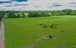 000 E FM 1794, De Berry, TX 75639