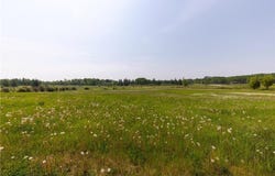 37106 Northview Road, Nashwauk, MN 55769
