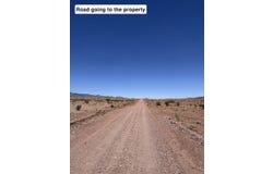 663 Willow Springs Ranch Road, San Antonio, NM 87832