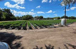 GALLAGHER ROAD, DOVER, FL 33527