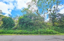 MAILE ST, Pahoa, HI 96778