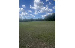 1529 Elbert Taylor Road, Pelion, SC 29123