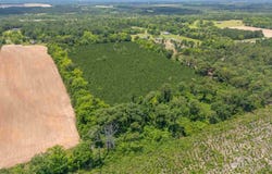 0000 Lewis Rd, Milton, FL 32570