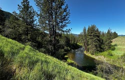 12 Trap Club Lane, Thompson Falls, MT 59873