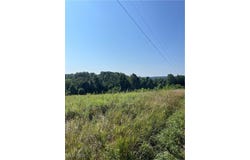 Timber Road, Bergholz, OH 43908