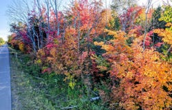Rauhala Road, Atlantic Mine, MI 49905