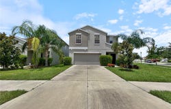 17201 BEACH BUTTERCUP PLACE, WIMAUMA, FL 33598