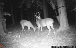 237 Nursery Rd, Kinder, LA 70648