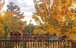 975 Windmill Drive, Hartsel, CO 80449