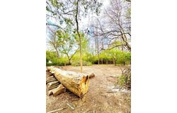 2561 Paw Paw Avenue, Benton Harbor, MI 49022