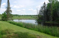 4781 Alvin Road, Glennie, MI 48737