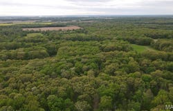 0 E Gun Creek Rd, Ina, IL 62846