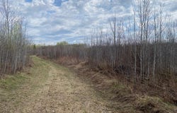 NEAR WILSON LAKE RD, Phillips, WI 54555