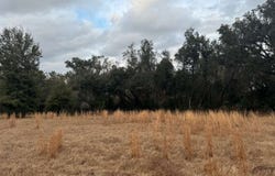 SW MCGRIFF LN & KAMAN, Lake City, FL 32024