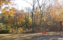 1817 W D Avenue, Kalamazoo, MI 49009