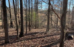 The Woodlands lot: 12E, HAYESVILLE, NC 28904