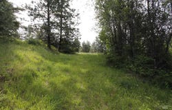 Tbd Smokey Bear Ln, Kendrick, ID 83537