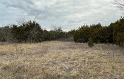 36021 Cedar Ridge Drive, Whitney, TX 76692