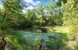 0 Highway 34, Piedmont, MO 63957