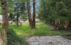 688 Rainbow Drive, Sedro Woolley, WA 98284