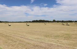1952 County Road 103, Comanche, TX 76442