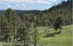 2898 Red Ashby Rd, Livermore, CO 80536