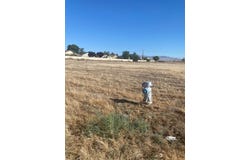 4 Willow Springs, Coalinga, CA 93210