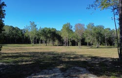 727 Crystal Lake Trail, Huger, SC 29540