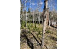 100 Santee Ct, Red Feather Lakes, CO 80545
