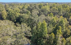 Briar Creek Road, Pittsview, AL 36871