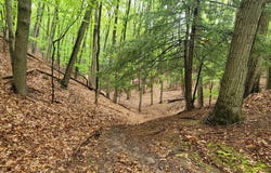 Avenue D, Pentwater, MI 49449