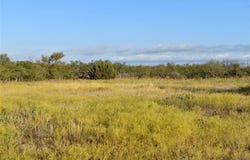 2055 472, Rochelle, TX 76872