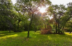 1241 Winn Road, Bowie, TX 76230