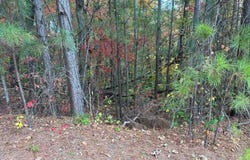 427 Spring Lake, White, GA 30184