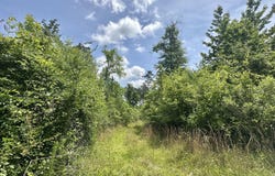 3 Highway 483, Morton, MS 39117