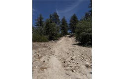 2526 Ridge Road, Running Springs, CA 92382