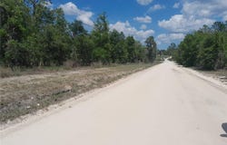 NE 63RD Place, WILLISTON, FL 32696