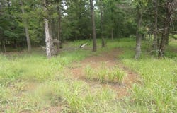 944 Whipporwill, Murchison, TX 75778