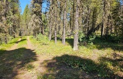 2770 NE Sagehen Dr, Island Park, ID 83429