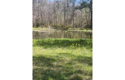33050 Nancy Dr, Walker, LA 70785