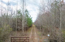 Darlington Heights, Cullen, VA 23934